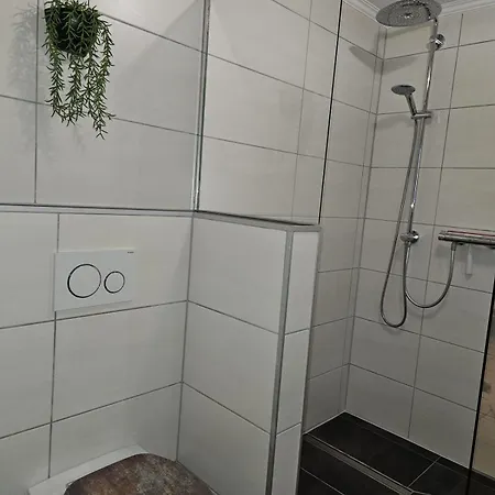 In Den Birgden