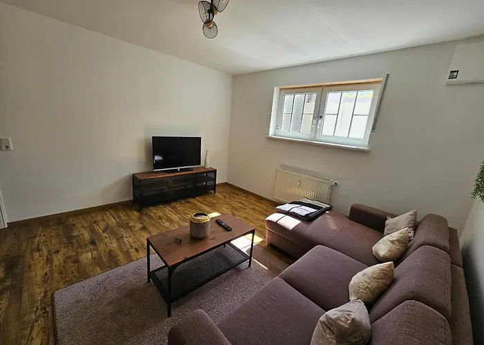 In Den Birgden Lejlighed